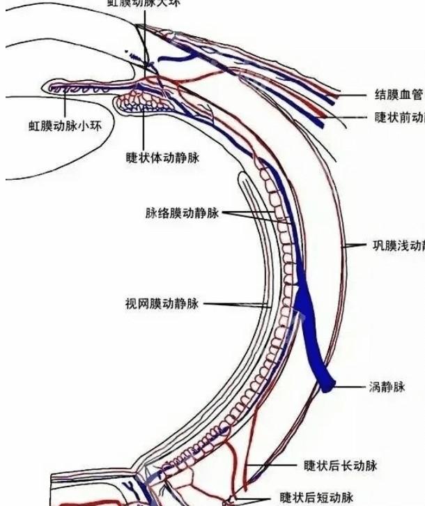 一览高雄的眼科医院近视眼手术价格表更新 传统准分子激光/准分子激光/PRL晶体植入没想象的贵