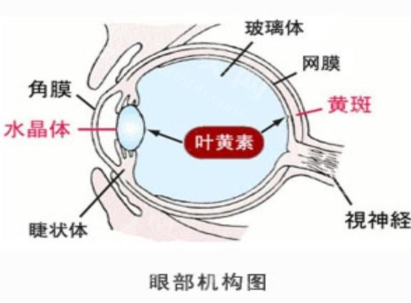 速览广州眼科医院老视手术要多少钱 个性化激光老视/老视//费用不贵