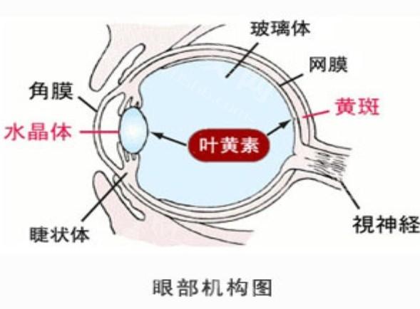 重庆蔡司精雕飞秒A+便宜又好的医院 做得好的有：千叶/佰视佳/何氏等