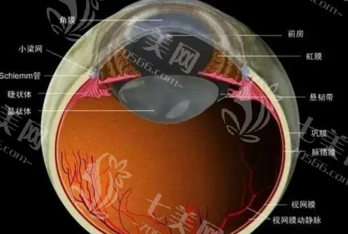 北京EVO晶体植入排名前7名单 亚医、爱尔福康和爱尔英智都是口碑公认