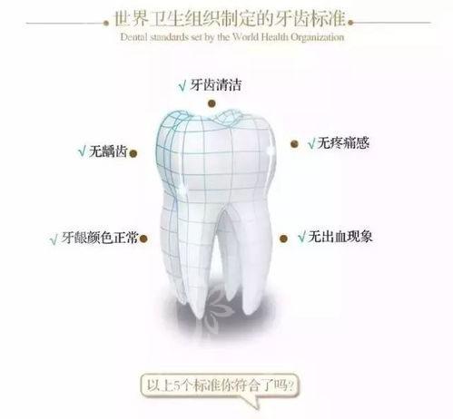 看一看北京口腔医院假牙义齿价格一览表 全口超强吸附义齿才3000+、塑钢牙100起