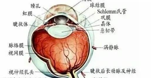 分享北京眼科医院白内障手术价格表 非球面折叠晶体才15300+、双焦点晶体16800起