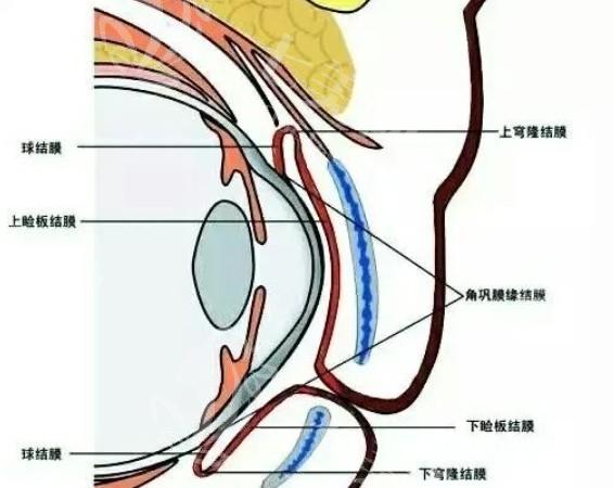 公开天津眼科医院白内障手术价格一览表 网友直呼散光晶体14900元+三焦点人工晶体34900元+太实惠
