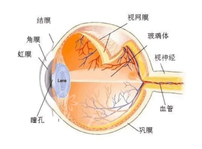 安排福州的眼科医院近视眼手术收费价格 个性化飞秒79000起可网站哟