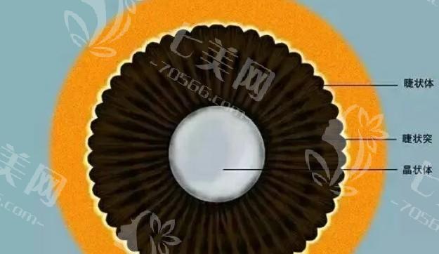 深圳EVO-ICL晶体植入（散光型）有名的眼科医院排名 排名靠前的友华普惠