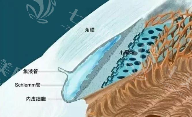 武汉蔡司飞秒A+哪个医院好？ 这些都是武汉正规且规模大的机构喔