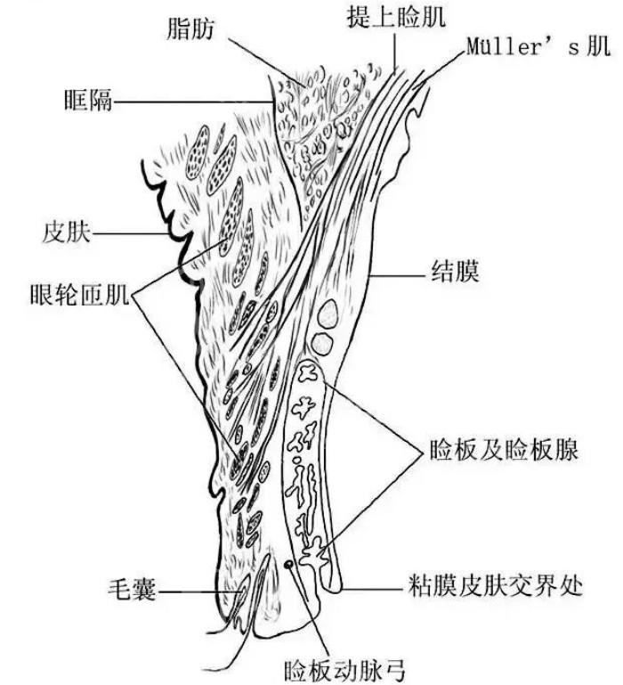 安排太原眼科的医院白内障手术价格表 单焦点晶体15900起