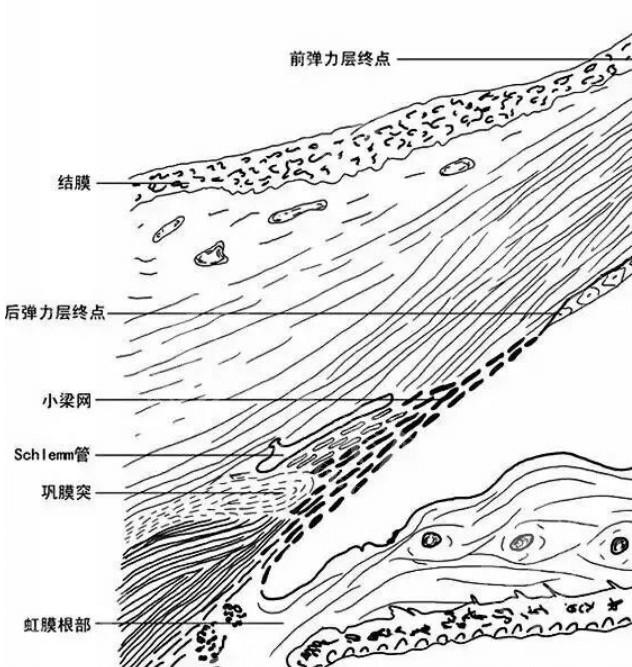 广州多焦点可调节晶体哪个医院可以做 10大排名里推荐视百年/佰视佳/普瑞做得好 