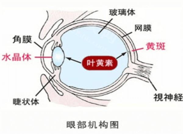新的天津眼科医院老视手术价目表 激光老视22800起