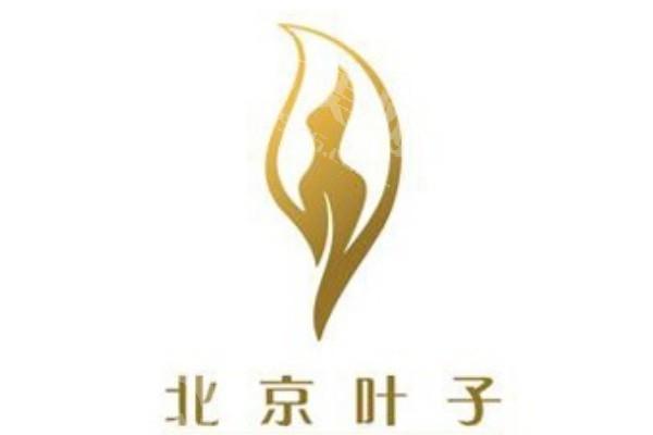 谁知道北京叶子医疗美容医院隆鼻技术好吗？医生团队强价格亲民