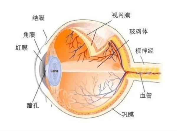 长沙睛点眼科医院价目表：查实其收费亲民口碑良好