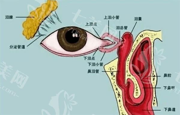 大连全飞秒smile3大排名榜已上线 听说大连爱尔眼科医院、大连华厦眼科、三目家正规口碑好