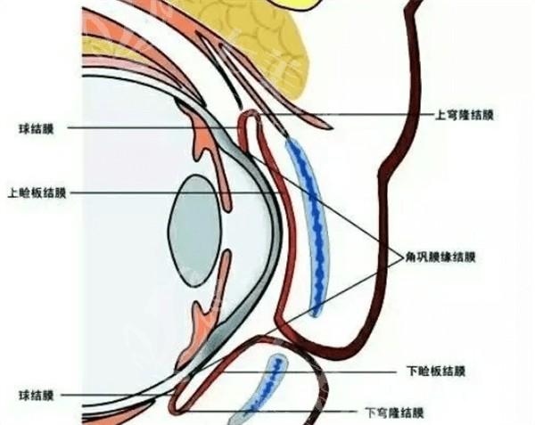 石家庄准分子激光哪个眼科医院好？ 口碑好又正规的眼科诊所