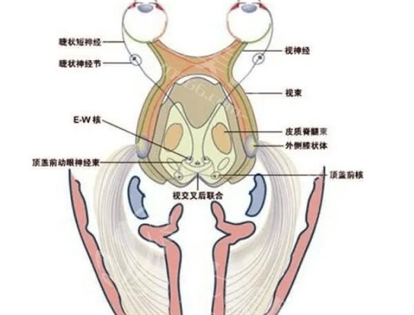 北京LASIK半飞秒有名的眼科医院名单公布  这些都是北京正规且规模大的机构喔